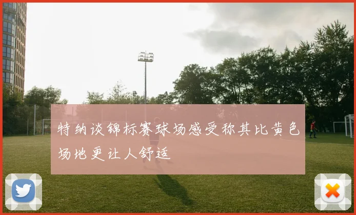 特纳谈锦标赛球场感受称其比黄色场地更让人舒适