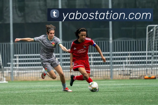 亚博体育APP 封面图