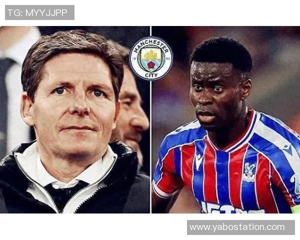 水晶宫冬窗计划引进博伊转会费预计达1300万英镑